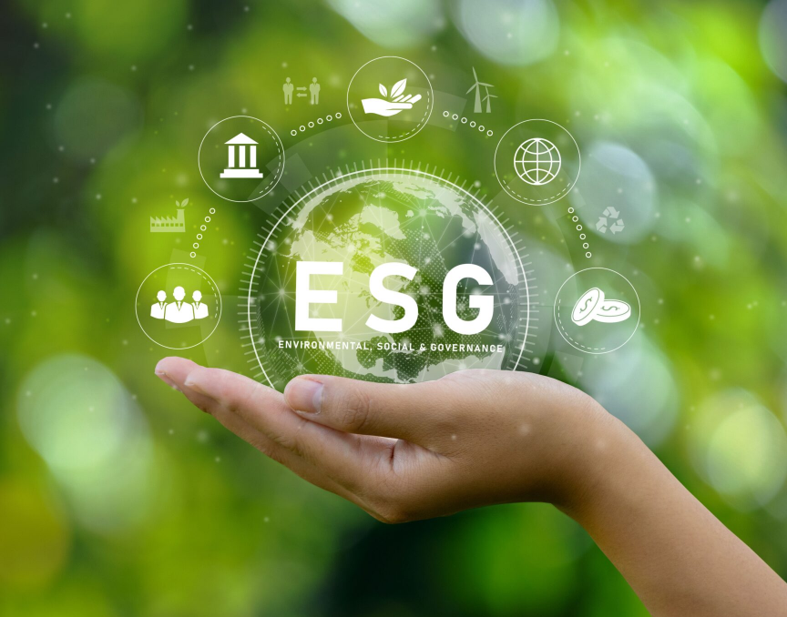Professional Certificate Program in ESG & Sustainability Reporting