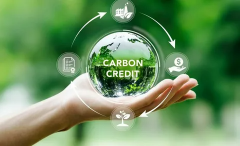 Advanced Certificate Program in Carbon Credits, Carbon Markets & Net-Zero Pathways
